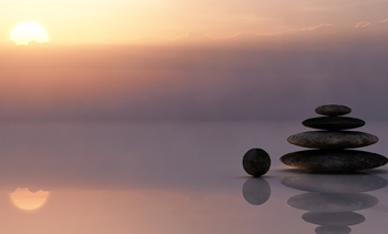 WORKPLACE WELLNESS NETWORK